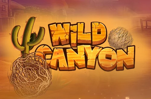 Wild Canyon Spiel